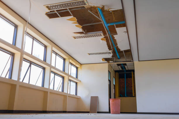 Best Water damage restoration specialists  in Carbon Cliff, IL