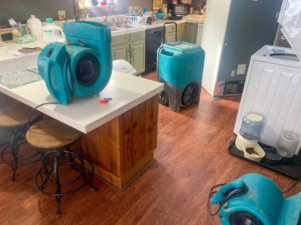Best Water damage restoration near me  in Carbon Cliff, IL