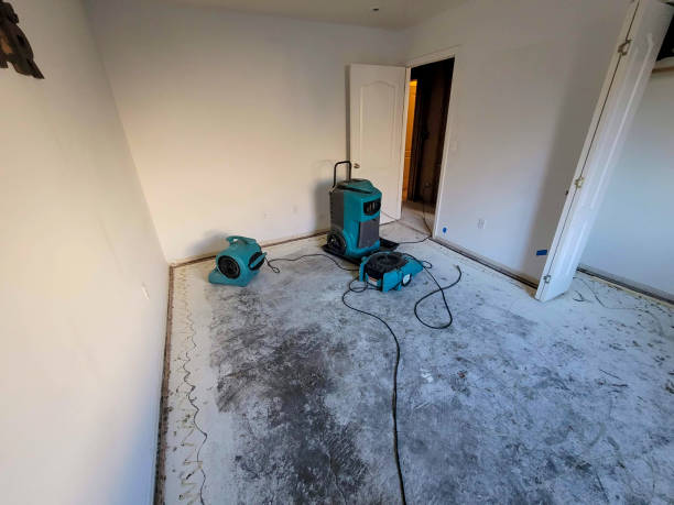 Best Water damage restoration process  in Carbon Cliff, IL