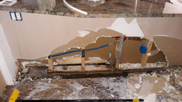 Best Ceiling water damage repair  in Carbon Cliff, IL