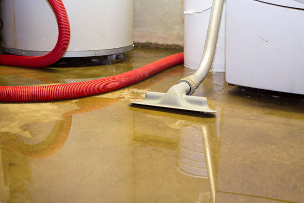 Best Emergency water damage restoration  in Carbon Cliff, IL